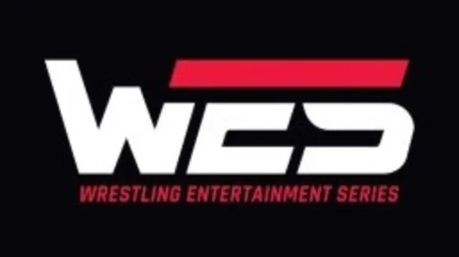 Wrestling entertainment series